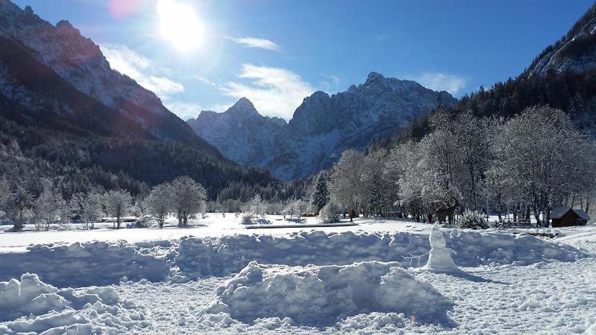 Rooms Barovc By The Lake Jasna Kranjska Gora Esterno foto The Karpathian Mountains